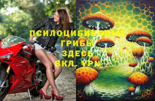 ECSTASY Абаза