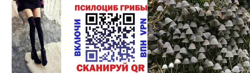 Галлюциногенные грибы прущие грибы  Пойковский 